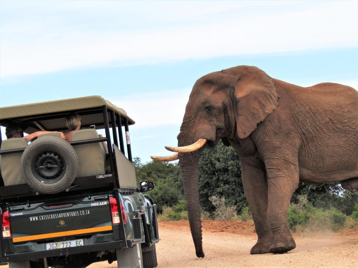 Chrislin African Lodge Addo Exterior foto