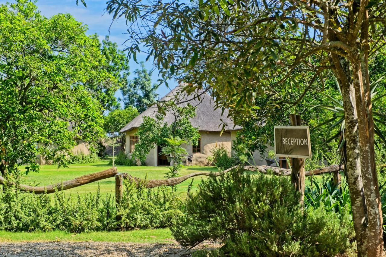 Chrislin African Lodge Addo Exterior foto
