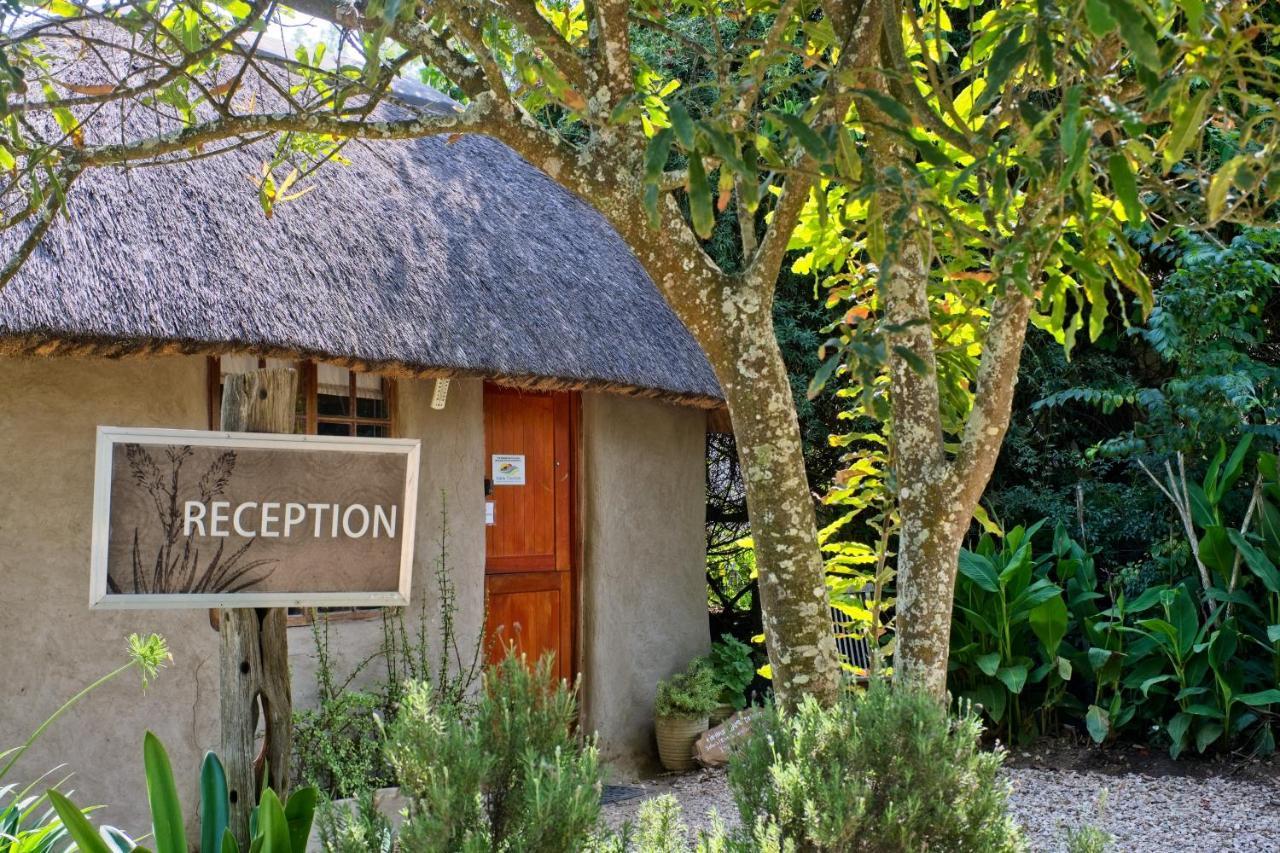 Chrislin African Lodge Addo Exterior foto